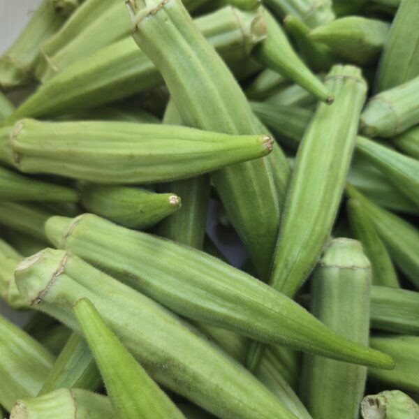 Okro