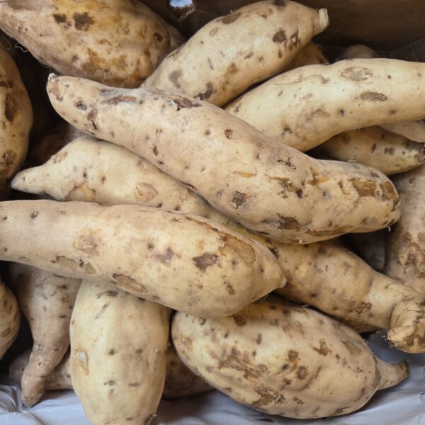 Sweet Potatoe