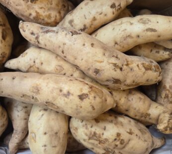 Sweet Potatoe