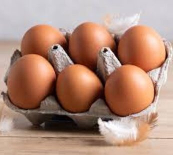 Egg