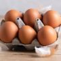 Egg