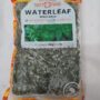 Waterleaf